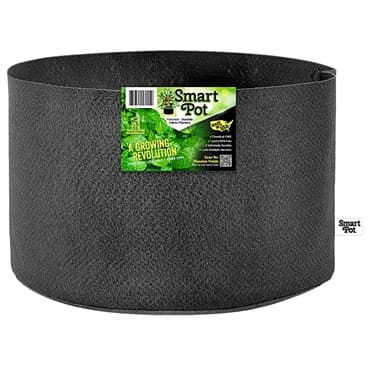 Smart Pot 10gal Black Bulk Box — photo 1 of 2