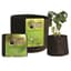 Smart Pot 300gal Black Bulk Box — thumbnail 1 of 2