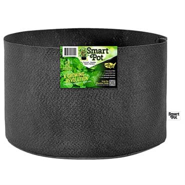 Smart Pot 10gal Pepper & Veggie Black Grower With Display Box — photo 1 of 2