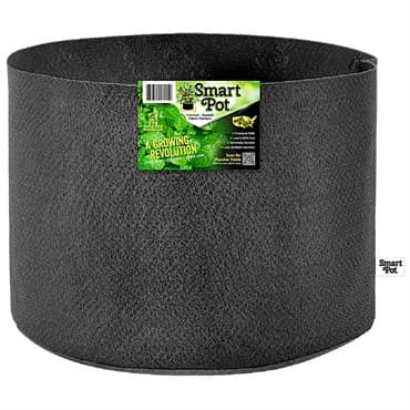 Smart Pot 15gal Potato & Squash Black Grower With Display Box — photo 1 of 2