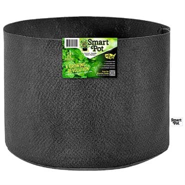 Smart Pot 20gal Tomato & Melon Black Grower With Display Box — photo 1 of 2