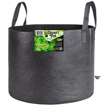 Smart Pot 15gal Black w/ Handles Bulk Box — photo 1 of 2