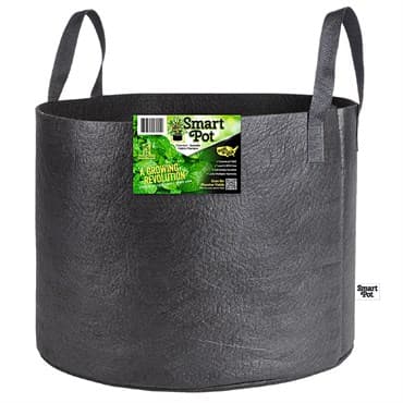 Smart Pot 25gal Black w/ Handles Bulk Box — photo 1 of 2