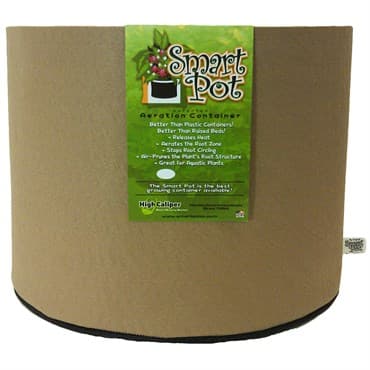 Smart Pot 7gal Tan Bulk Box — photo 1 of 2