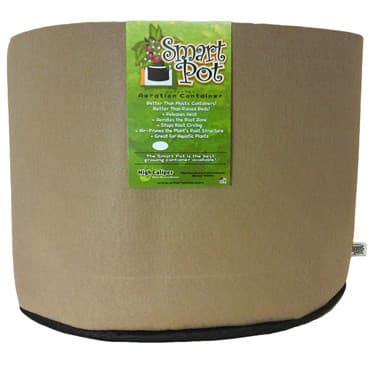 Smart Pot 45gal Tan Bulk Box — photo 1 of 2