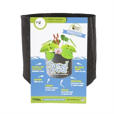 Smart Pot Pond Pot 2gal Black — photo 1 of 2