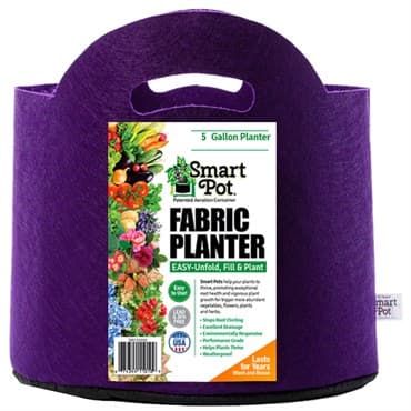 Smart Pot 12pc 5gal Violet w/ Cut Handle — photo 1 of 2