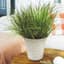 HC 7" Sedona Planter Cottage Stone — thumbnail 1 of 2