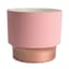 HC 5" Sprite Succulent Pot Blush — thumbnail 1 of 2