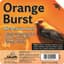 Heath 11.25oz Orange Burst All-Season High Energy Suet Cake — thumbnail 1 of 2