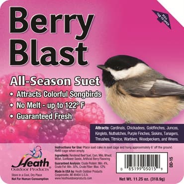 Heath 11.25oz Berry Blast All-Season High Energy Suet Cake — photo 1 of 2