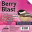 Heath 11.25oz Berry Blast All-Season High Energy Suet Cake — thumbnail 1 of 2
