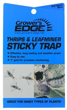 Grower's Edge 5pc Thrips & Leafminer Sticky Trap (80/BX) — photo 1 of 2