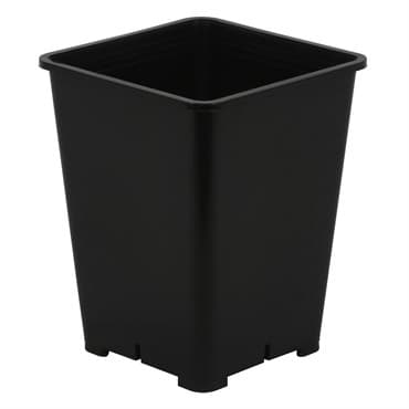 Gro Pro 6in x 6in x 8in Premium Square Pot Black (100/CS) — photo 1 of 2