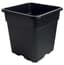 Gro Pro 0.5gal Black Square Pot (1720/PL) — thumbnail 1 of 2