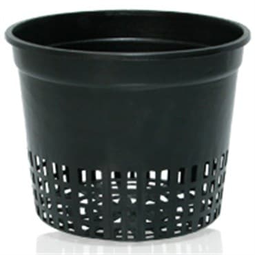 HDF 50ct 5" Net Cup Pack/ 1 Each is a sleeve of 50/10 sleeves per case — photo 1 of 2