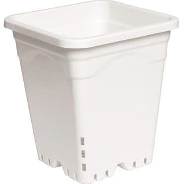 HDF 9"X9" Square White  Pot 10" Tall — photo 1 of 2