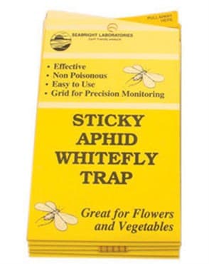 HDF Seabrite Whitefly Traps 5pk — photo 1 of 2