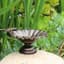 Innova Dragonfly Tabletop Birdbath Antique Brass — thumbnail 1 of 2