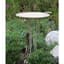 Innova Vintage Floral Birdbath Vintage White — thumbnail 1 of 2