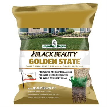 Jonathan Green 3# Black Beauty Golden State — photo 1 of 2