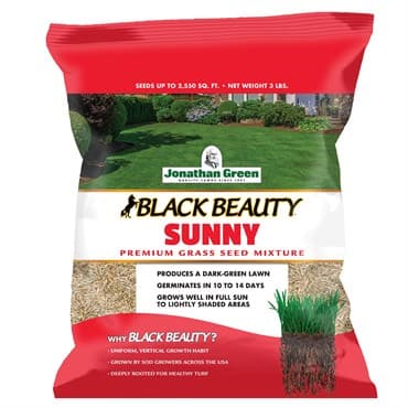 Jonathan Green 3# Black Beauty Sunny — photo 1 of 2