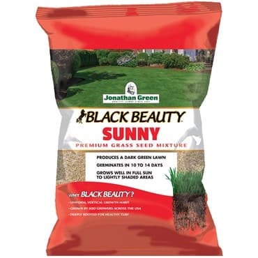 Jonathan Green 25# Black Beauty Sunny — photo 1 of 2