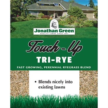 Jonathan Green 25# Touch Up  Perennial Ryegrass — photo 1 of 2
