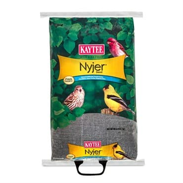 Kaytee 20# Nyjer Thistle Seed — photo 1 of 2