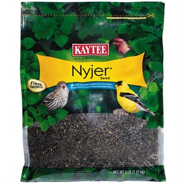 Kaytee 5# Nyjer Thistle Seed — photo 1 of 2