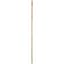 Gardener's Blue Ribbon Bulk 6'x1" Super Bamboo — thumbnail 1 of 2