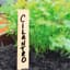 Gardener's Blue Ribbon 24pk 6" Bamboo Plant Labels — thumbnail 1 of 2