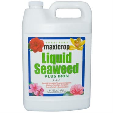 Maxicrop 1gal Plus Iron 2% — photo 1 of 2