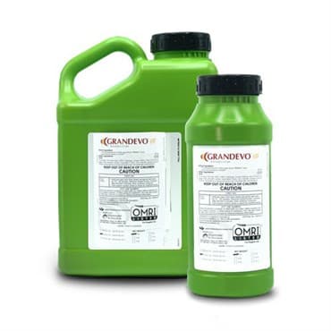Grandevo WDG 6Lb (6/Cs) OMRI ( Chromobacterium subtsugae strain PRAA4-1 ) Bioinsecticide (Grandevo PTO) — photo 1 of 2