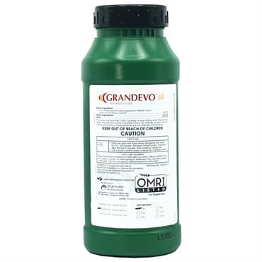 Grandevo CG 1Lb (12/Cs) OMRI ( Chromobacterium subtsugae strain PRAA4-1 ) Bioinsecticide (Grandevo PTO) — photo 1 of 2