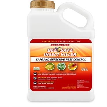 Organocide 1gal Bee Safe Insect Killer Concentrate — photo 1 of 2