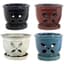 MCarr 12PC 5.5" 4 Petal Orchid Pot Mix Asst — thumbnail 1 of 2