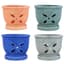 MCarr 12PC 5.5" 4 Petal Orchid Pot Mix Asst — thumbnail 1 of 2