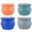 MCarr 8PC 6" Self Water Round Pot Asst — thumbnail 1 of 2