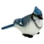 MCarr Small Blue Jay — thumbnail 1 of 2
