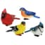 MCarr 4pc Mixed Small Bird Assortment — thumbnail 1 of 2