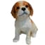 MCarr 8" Cavalier King Puppy — thumbnail 1 of 2