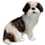 MCarr 9" Shih Tzu Puppy — thumbnail 1 of 2