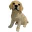 MCarr 11.5" Yellow Labrador Puppy Lge — thumbnail 1 of 2