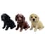 MCarr 6PC Sm Lab Puppies Mix 2 Of Each Color — thumbnail 1 of 2