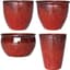 MCarr 26pc Mix Planter Pallet Red Wine — thumbnail 1 of 2