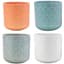 MCarr 16PC 5" Small Garland Planter Set Mixed — thumbnail 1 of 2