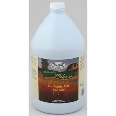 Medina 1gal Molasses 4/CS — photo 1 of 2