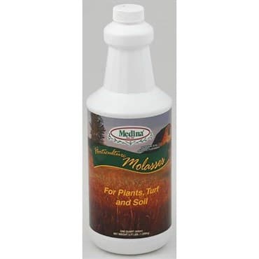 Medina 32oz Molasses 12/CS — photo 1 of 2