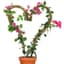 Mossify 42" Bendable Moss Pole Thin Bulk Pack — thumbnail 1 of 2